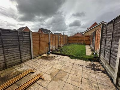 Picture 21